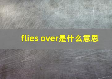 flies over是什么意思